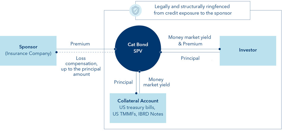 Infografik Cat Bonds