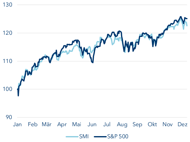 SMI und S&P500 im laufenden Jahr