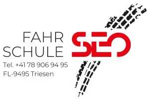 Fahrschule SEO