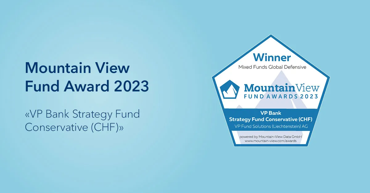 Mountain View Fund Award 2023