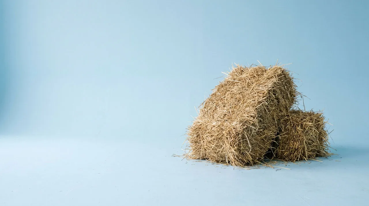Haystack